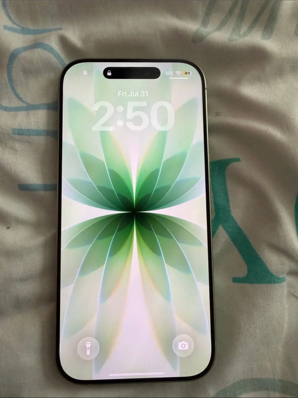 Apple iPhone 17 - Green- Unbranded (Visible Display)